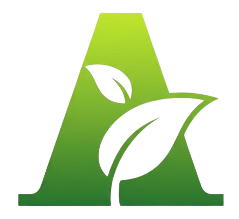 logo1 removebg preview